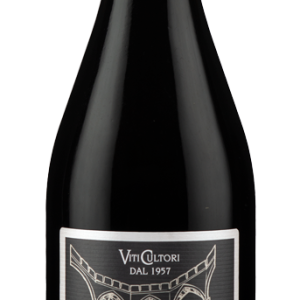 FREISA D'ASTI D.O.C. FRIZZANTE: 13.5% VOL